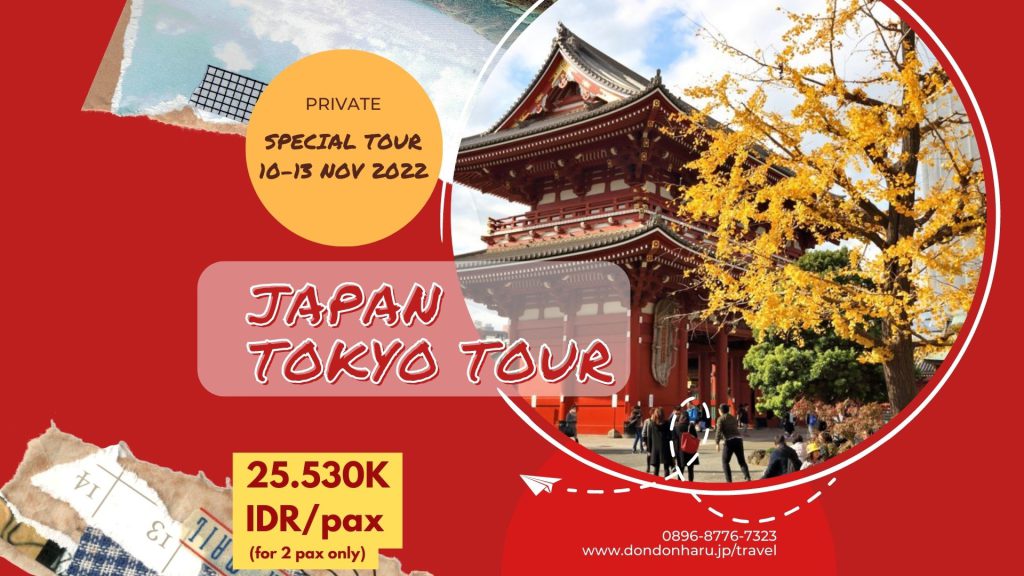 4D/3N Private Tokyo Tour (November 2022)