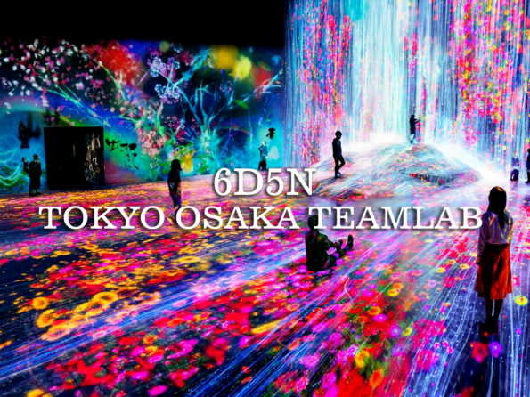 6D/5N Japan Tokyo Osaka Teamlab Planets